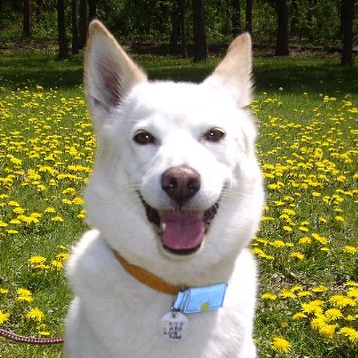 D7e1d6d4 5ab6 4074 a042 c86e8d35f760