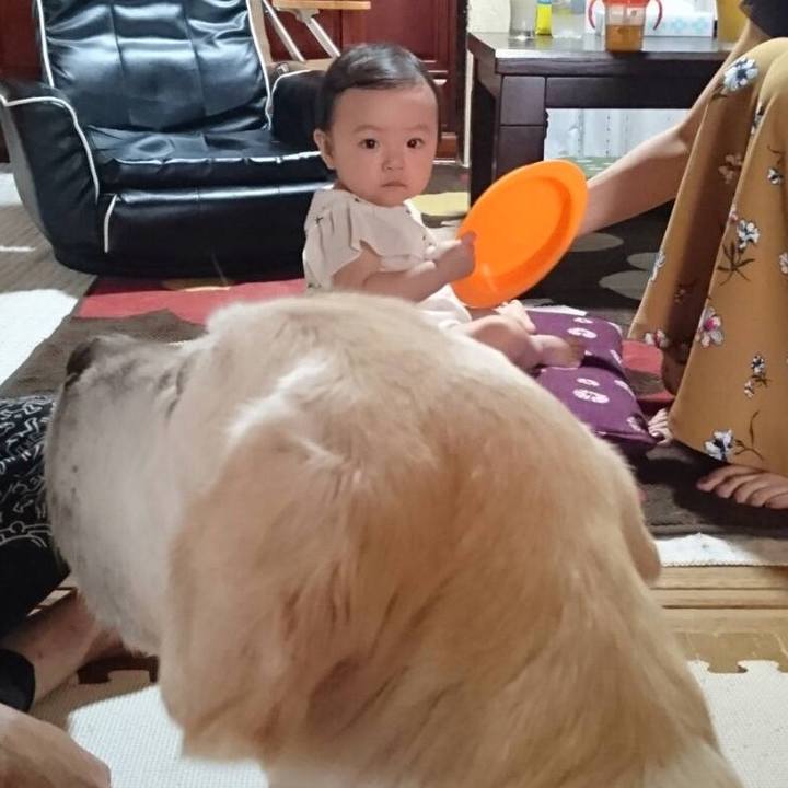 D7e39368 62ff 469c 9924 24dcdc1015d6