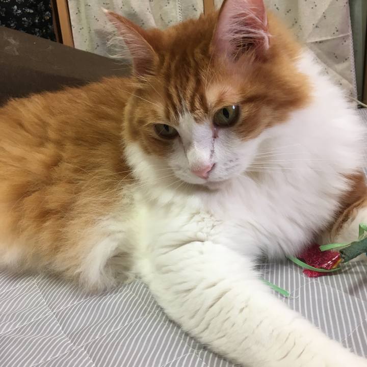 D7e3da62 3545 4075 8ab8 0ebe75777a6b