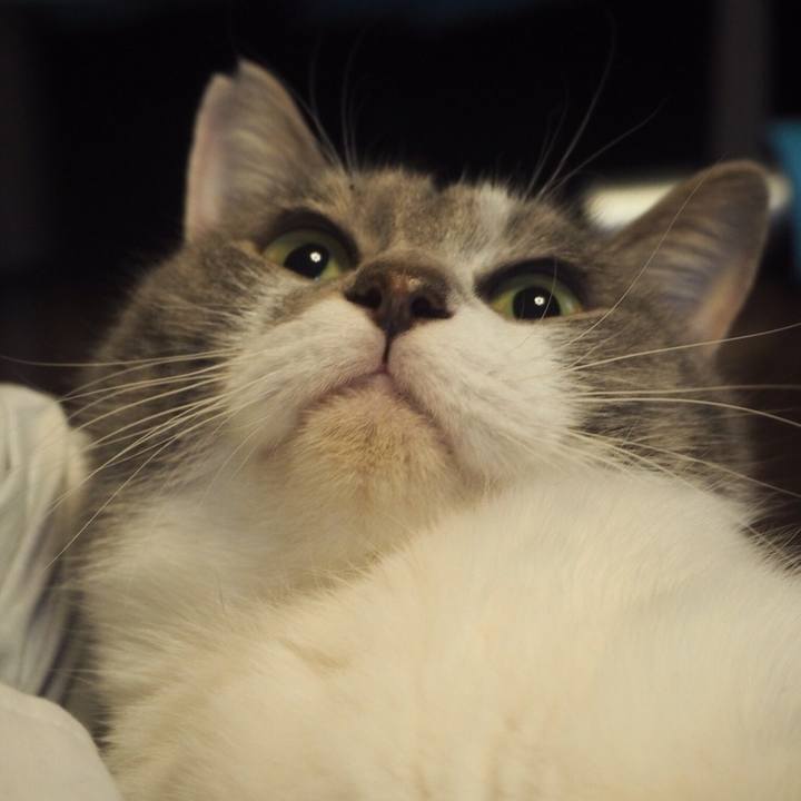 D7e3fdec 0624 4431 ad9d 95e1d0a6cebc