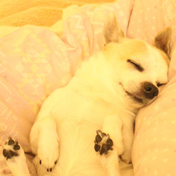 D7e51fe8 b6de 4b0b 9043 50f0e008a580