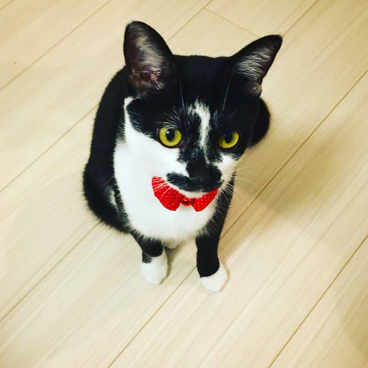 D7e54f64 9888 4fbe 9885 e16a3d2c13e1