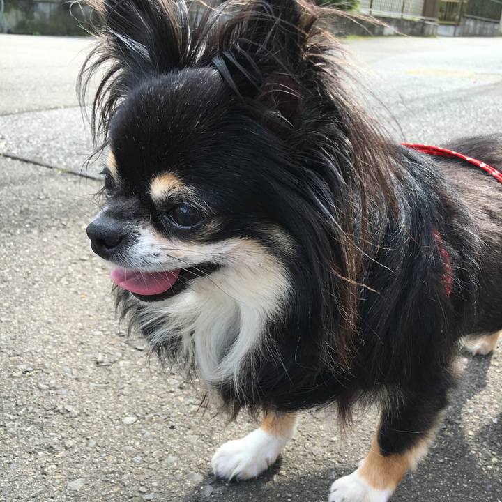 D7e5515d a652 43c0 b1e4 9ebbec6637b7