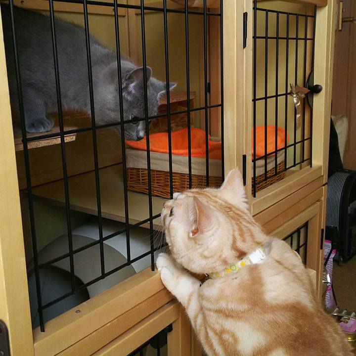 D7e5b627 739c 47a4 a5ee 5fa82bee0cbb