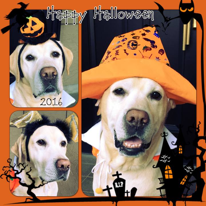 D7e6929f dd86 4e53 8f23 43eb02b7e8f8