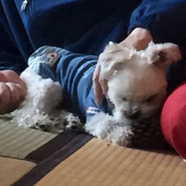 D7e6bd6a a944 453e 9eff d78113272f7a