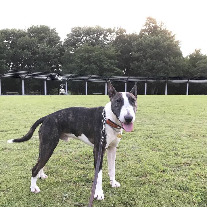 D7e6e698 685a 4d19 aa9c 20e7b38182a7