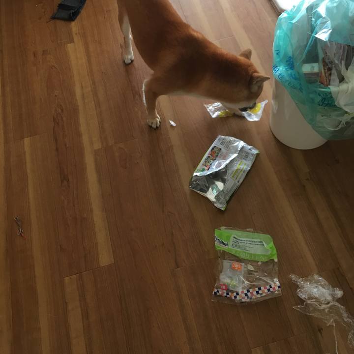 D7e7a9c5 ca82 408d a452 7af7b7b73a80