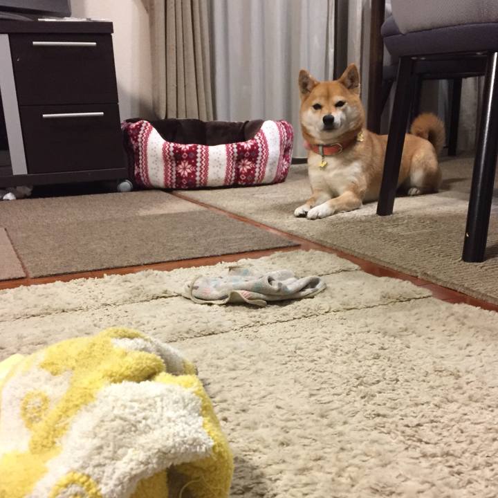 D7e7b6ab f79d 4ee6 94d0 6684a3646453