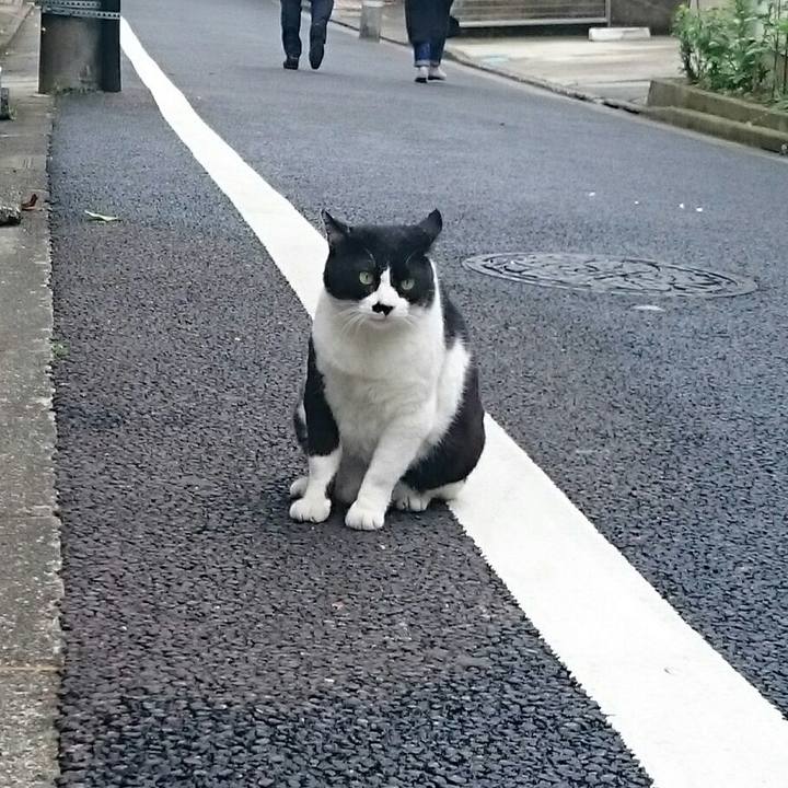 D7e806bd c41e 4bc0 bf38 c61d771334b2