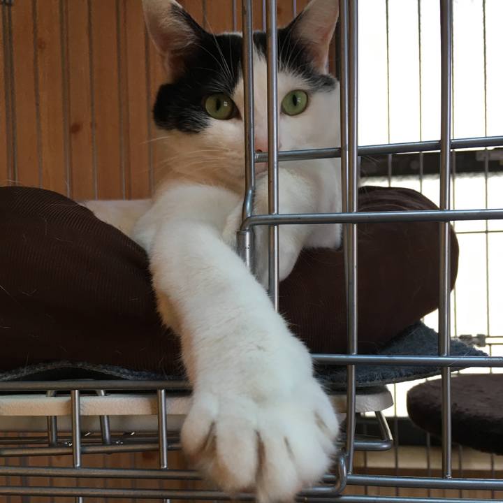 D7e8412c 8e36 40d9 9d72 fd5f0b3fd8f9