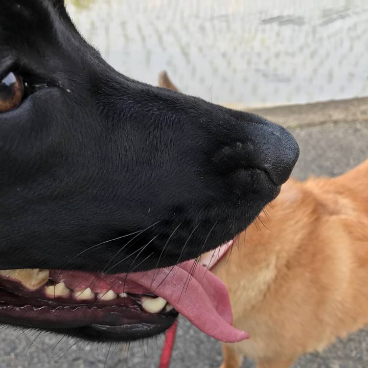 D7e8d21d dc19 410a 978a 6c4cee9fc230