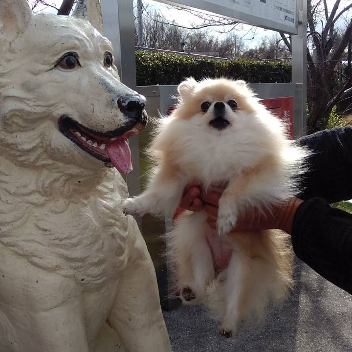 D7e9033e 27ec 4eea 9744 643a024e8b0e