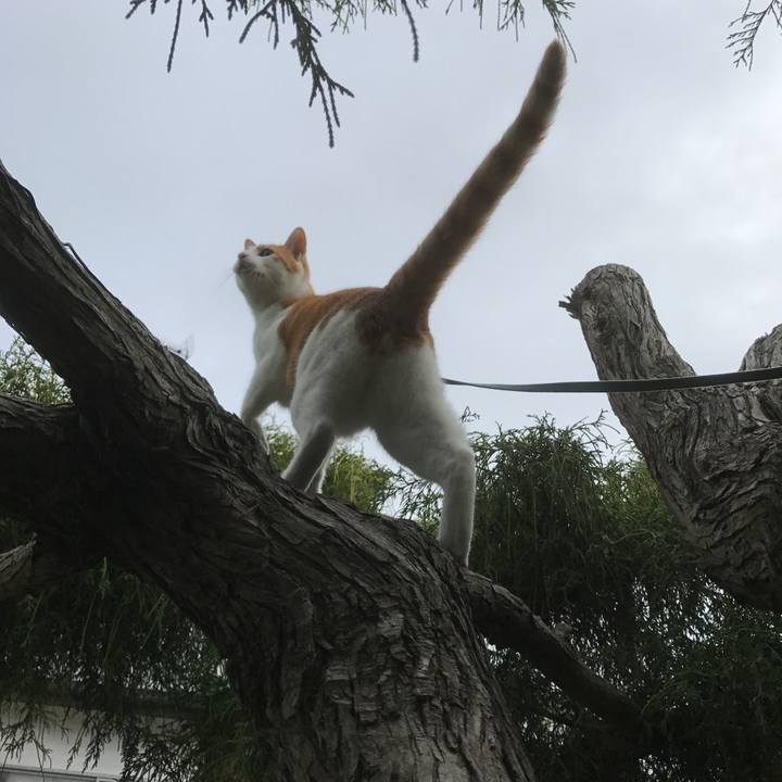 D7e9be5e eaea 4df4 bdb4 cc2a30ba5cd1