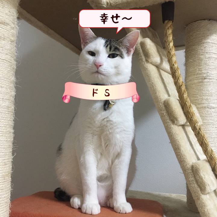 D7ea2e36 3aff 4dd5 954c 06c744ee01aa