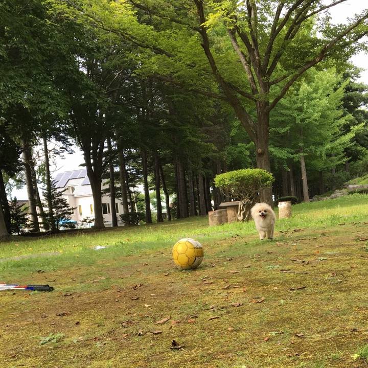 D7ea4469 cacd 4262 8cec 5756d336548d