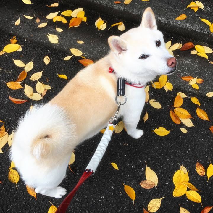 D7eb604b 512e 4588 b1d3 2c091c7ed267