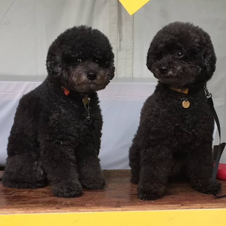 D7eb6bf6 acb0 43e8 bb13 2b9eef493dad