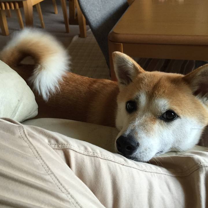 D7eb9069 a064 4527 98f4 45ab02cc0296