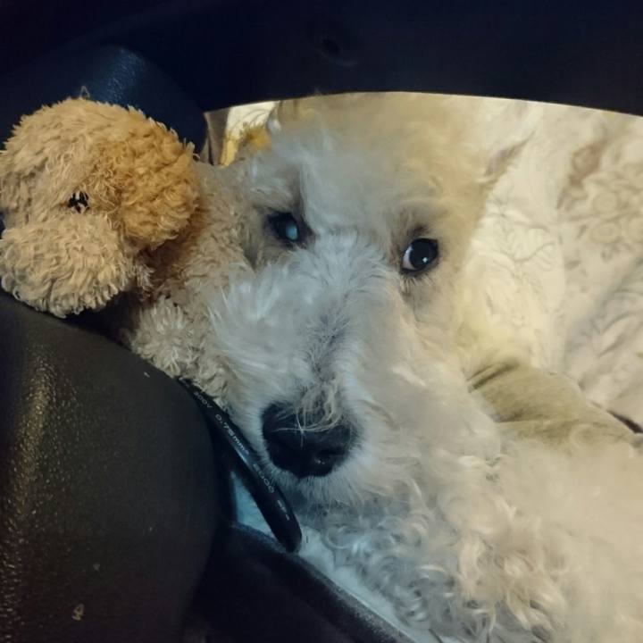 D7eb91f0 33a6 4d13 bd5a ef077e544089