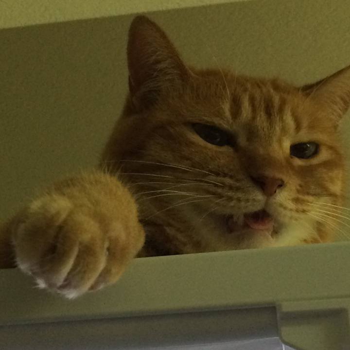 D7ec0943 f551 4f10 b9b8 984484798ef2