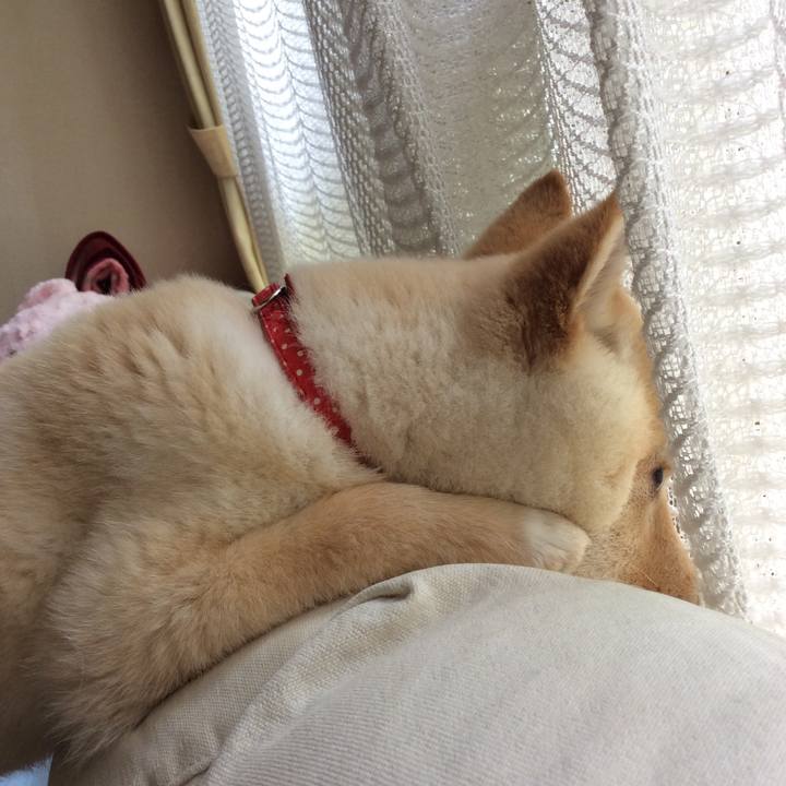 D7ecd66c 4f45 484e b339 1e76adf8d36e