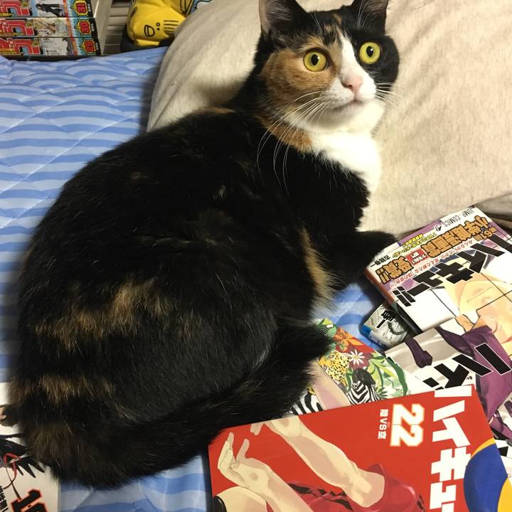 D7ed7652 9915 486b 861a 5377699b73fb