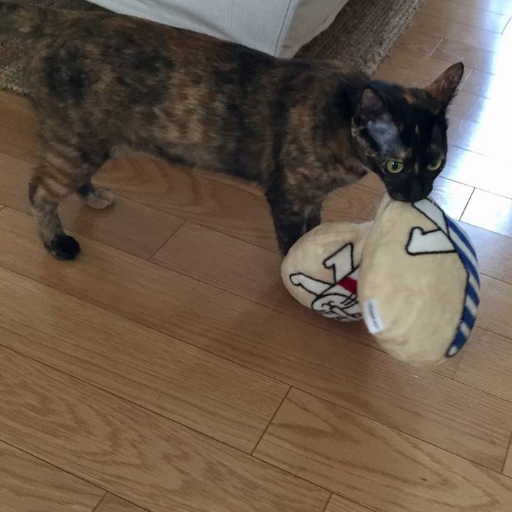 D7edb0cd c178 49e4 aff3 1ef28fddeead