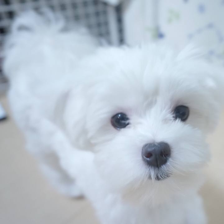 D7ede2b0 cfd7 45e1 9be9 32d2831d2bb7