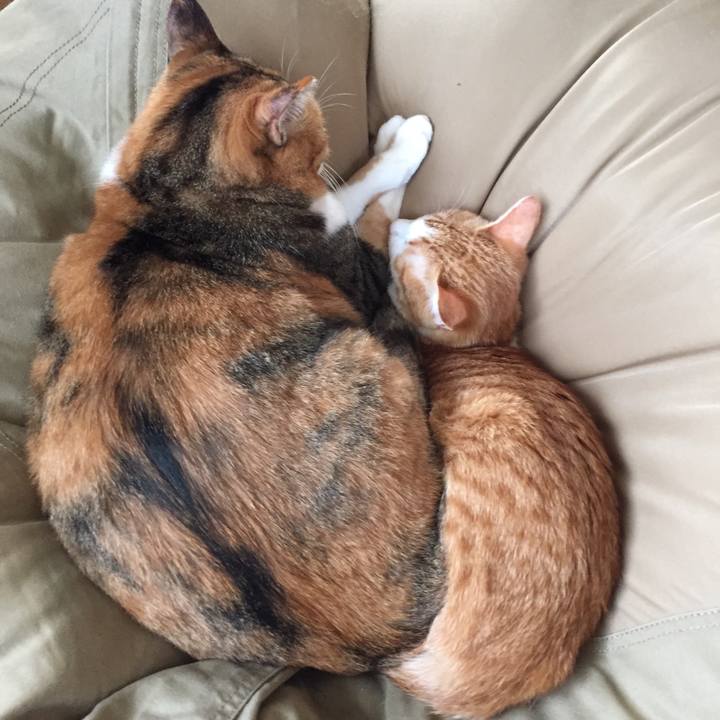 D7ee3a83 509c 4132 824c c1d64776db03