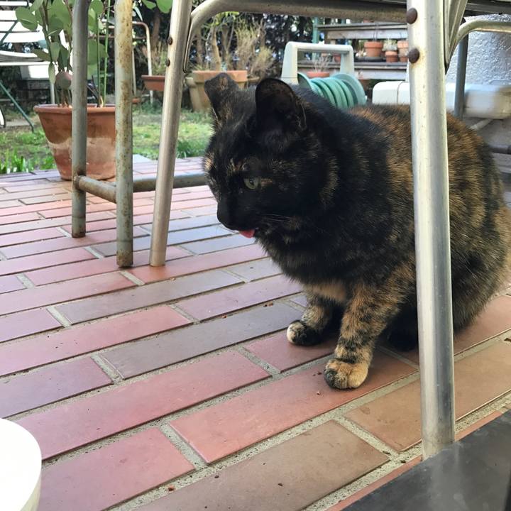 D7eed074 f907 49f4 9a29 82455a47a02d