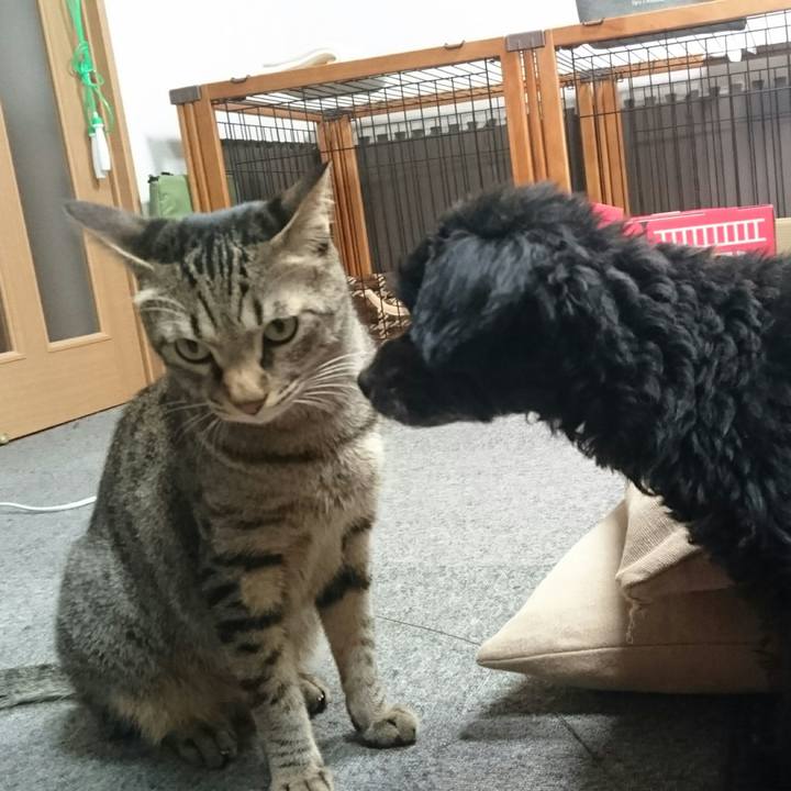 D7efec8f 3826 42c5 aa3e 4614d2ae7681