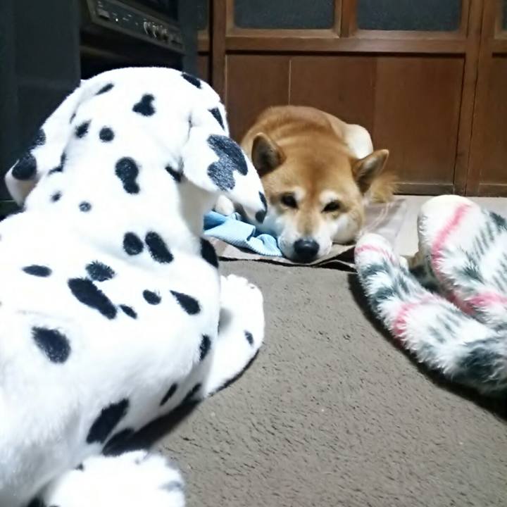 D7efffc9 2d3f 404f a81a 047c111b82e1