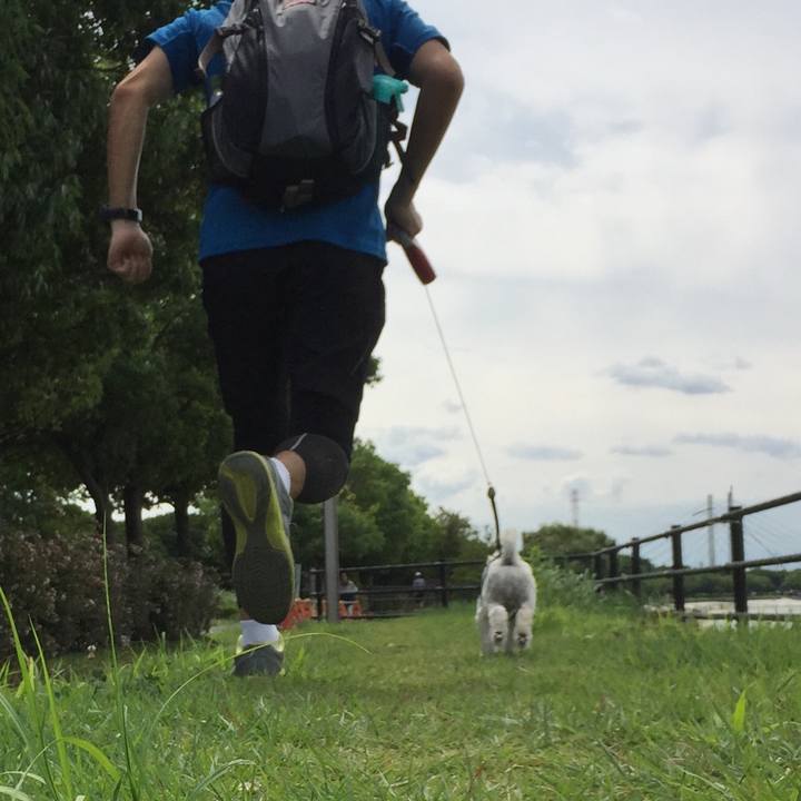 D7f013dd 6469 4f45 b7b0 83d3d6bbfd02