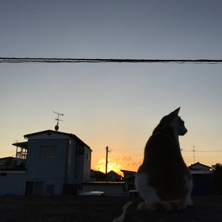 D7f02624 32d5 4bfe bb9d 5ced941edc98