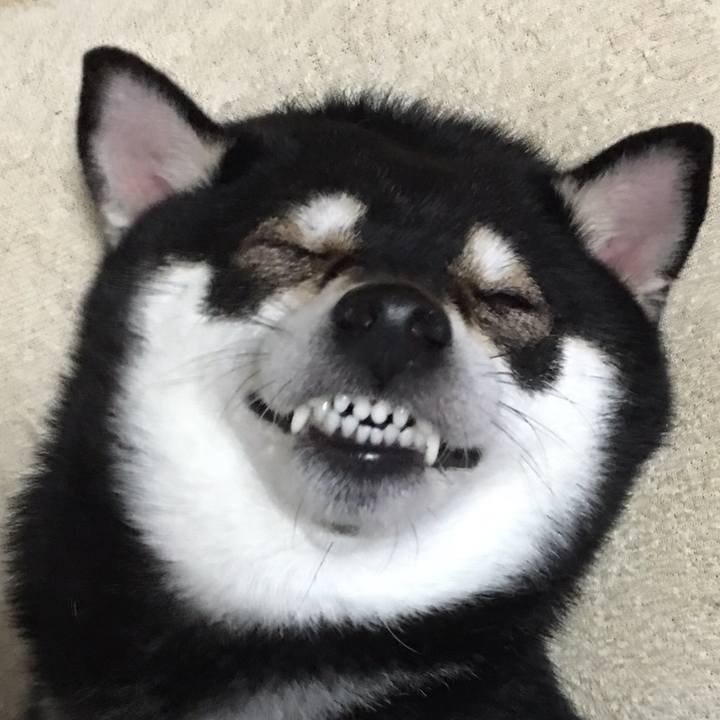 D7f08c94 459e 4f36 85e3 35b5a46f948b