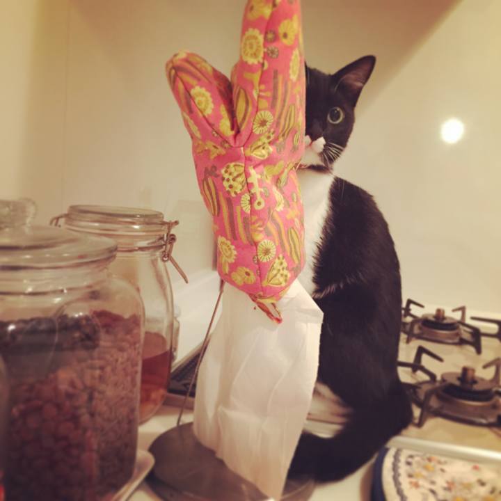 D7f0fd3a 2406 4aba a7bd 85dfde46f7eb