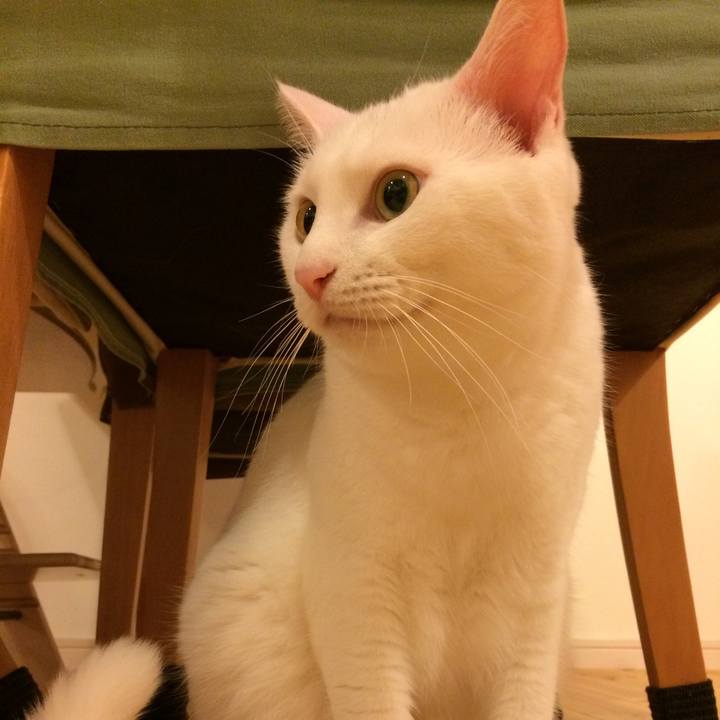 D7f0fd8c adfc 4721 b64d ad8d9ea9bd43