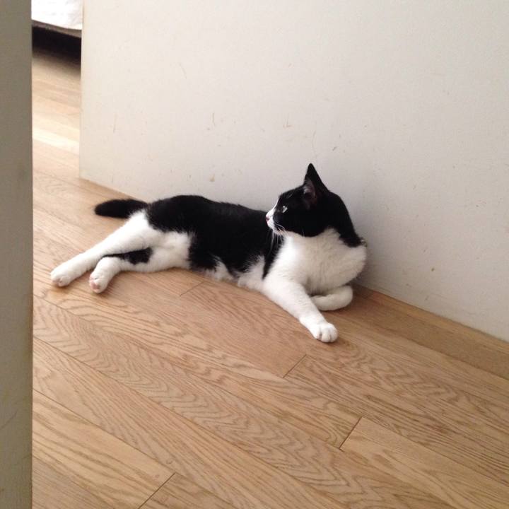 D7f0fef3 e5a0 4e53 a805 fe0b8ddfb3d0