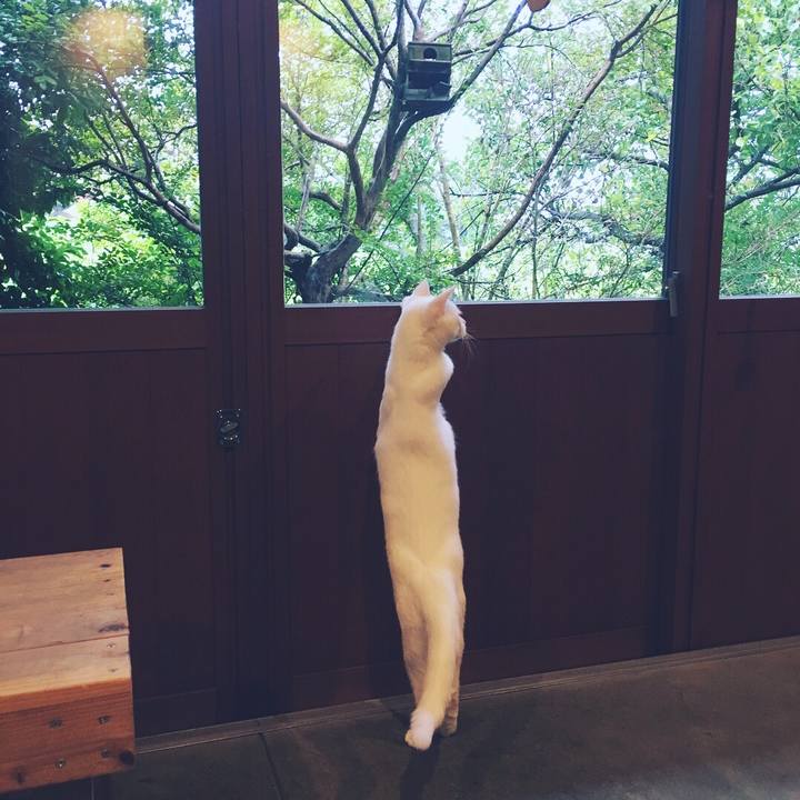 D7f12b06 d7fc 4361 8967 d43204decdaf