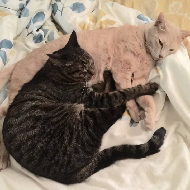 D7f1979b 65aa 4655 aec6 57134250d124