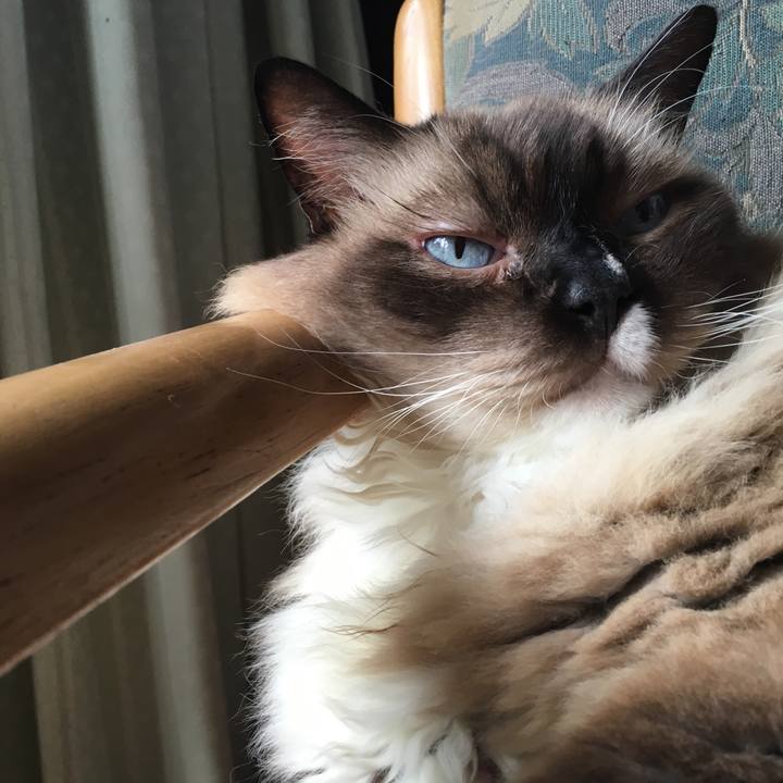 D7f1cdc3 d8eb 4e5b 82dc 03099c928963