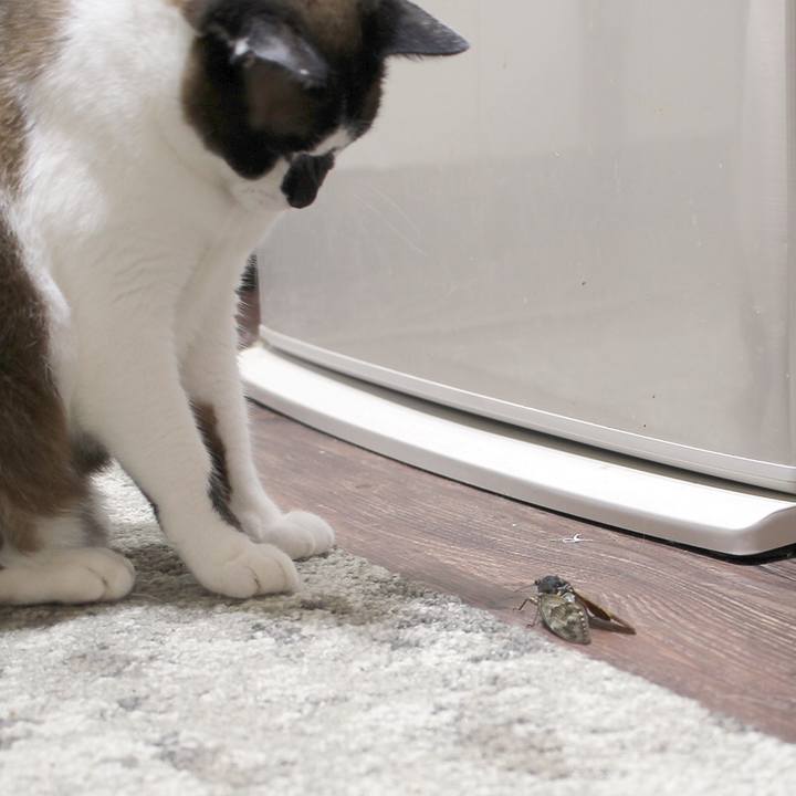 D7f25d0b b653 43c5 8c29 8d63fbc2bbae