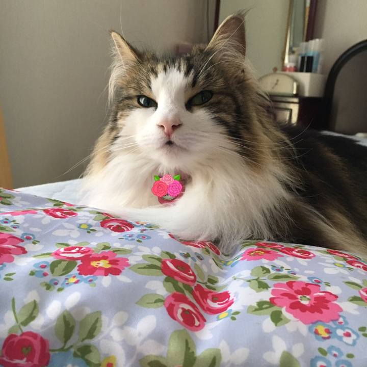 D7f286b1 1874 45dc aaaf 2cde5b83c809