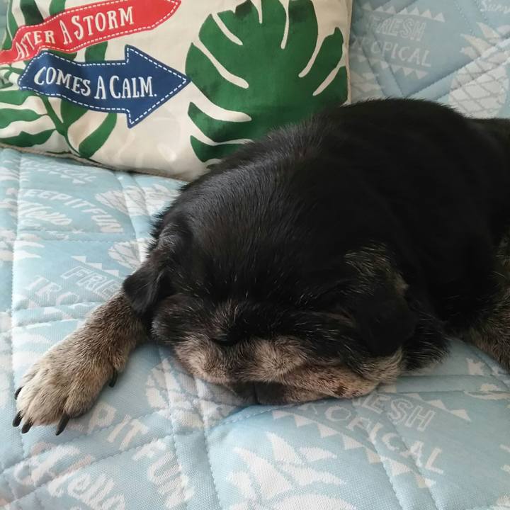 D7f28df4 6c55 4079 8ee9 96147a469b4e