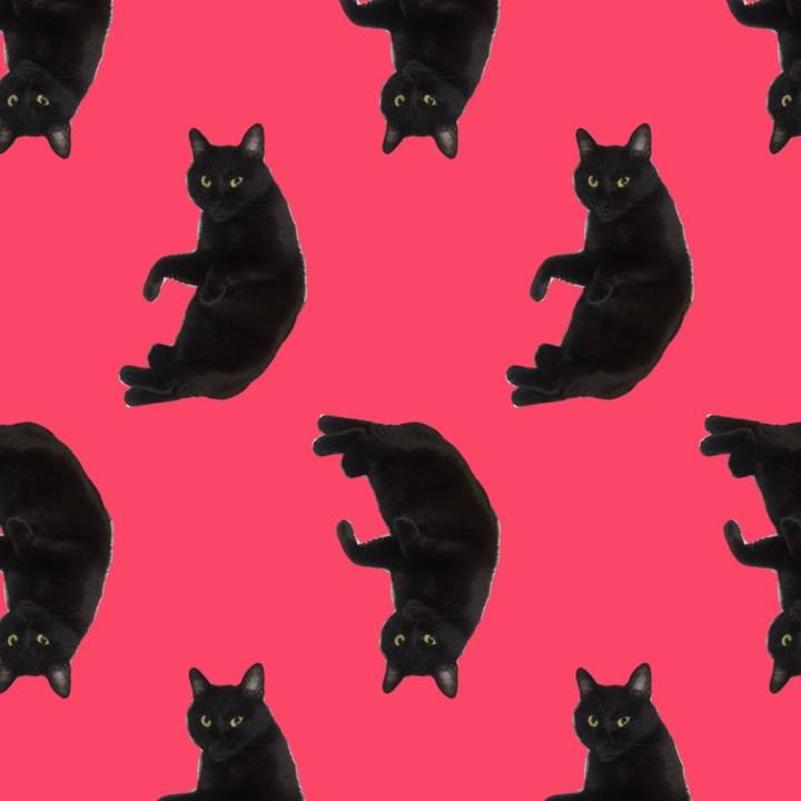 D7f2b352 3348 4044 9f18 186a4bf92da7