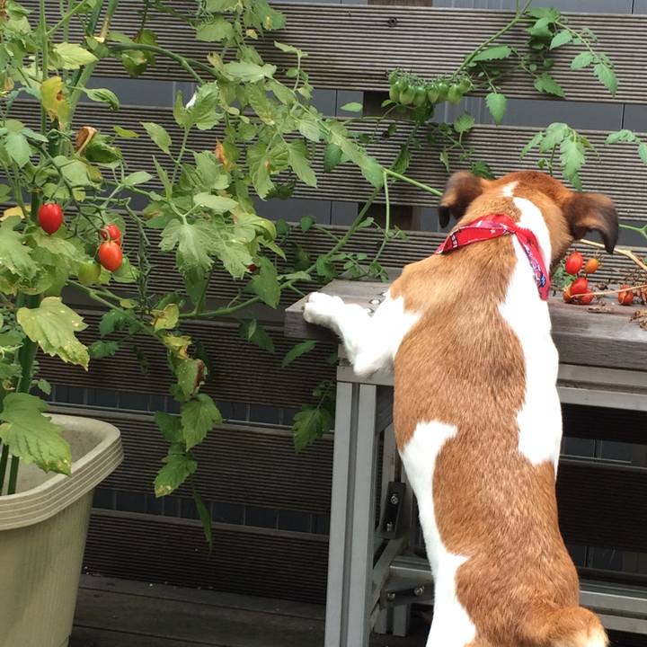 D7f2d047 d381 4824 b43a 73af2d8c1692