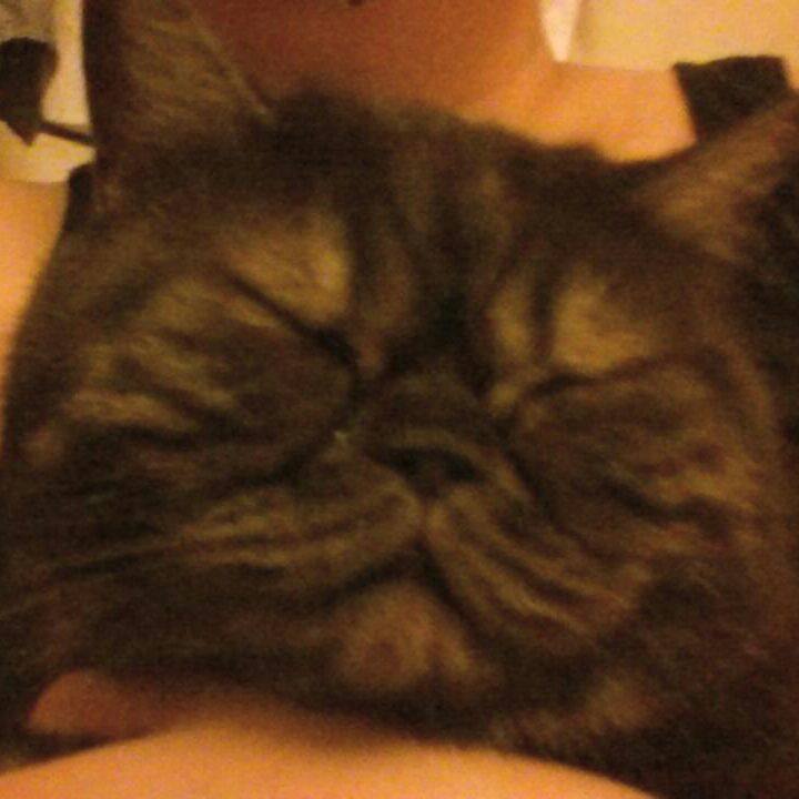 D7f3075b 1135 4fdf b171 cc90402129b3