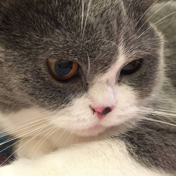 D7f331a2 1626 496b 85ed bdeb55955723