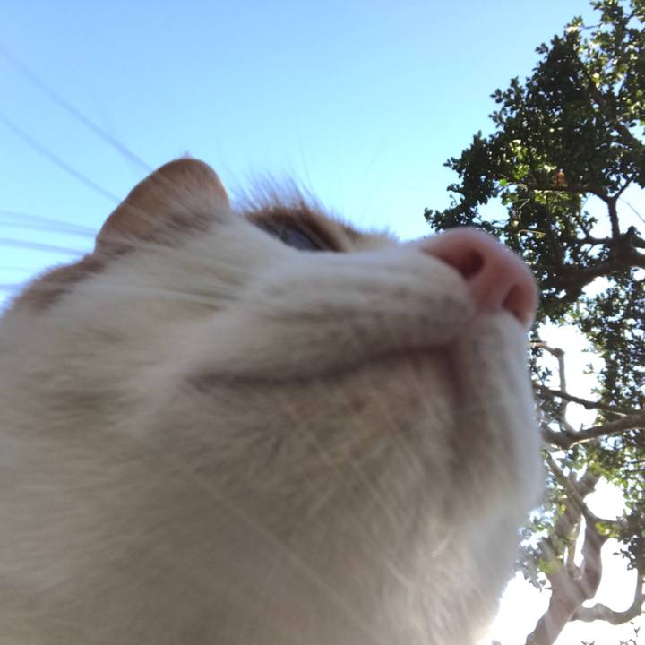 D7f34493 815d 475e 82a6 32a0bc925c0a